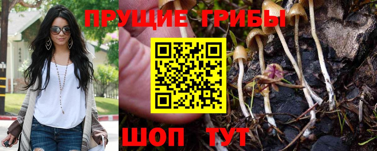 Тимашёвск  как найти наркотики  Вход с VPN  Псилоцибиновые грибы мухоморы 