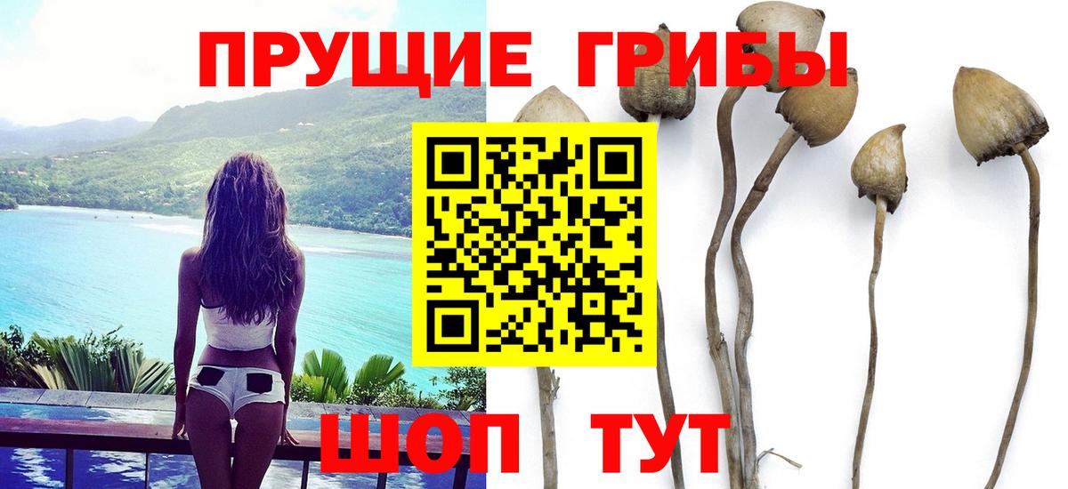 Псилоцибиновые грибы Magic Shrooms Тимашёвск
